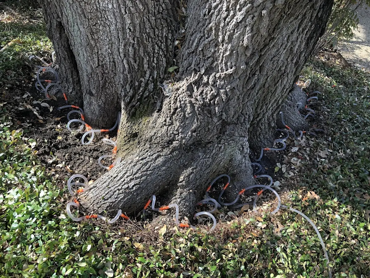 Detailed Shrub and Hedge Trimming job site in Crowell